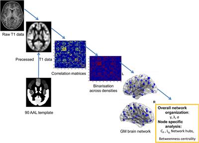 Impaired Topological Properties of Gray Matter Structural Covariance Network in Epilepsy Children With Generalized Tonic–Clonic Seizures: A Graph Theoretical Analysis